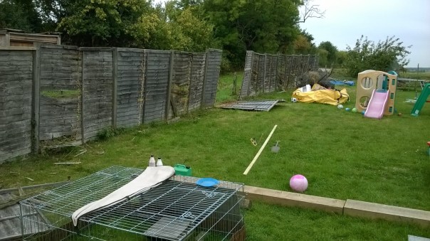 WP_20150921_09_37_09_Pro